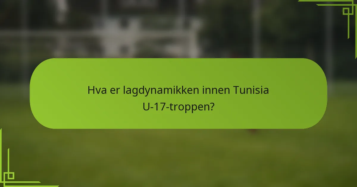 Hva er lagdynamikken innen Tunisia U-17-troppen?