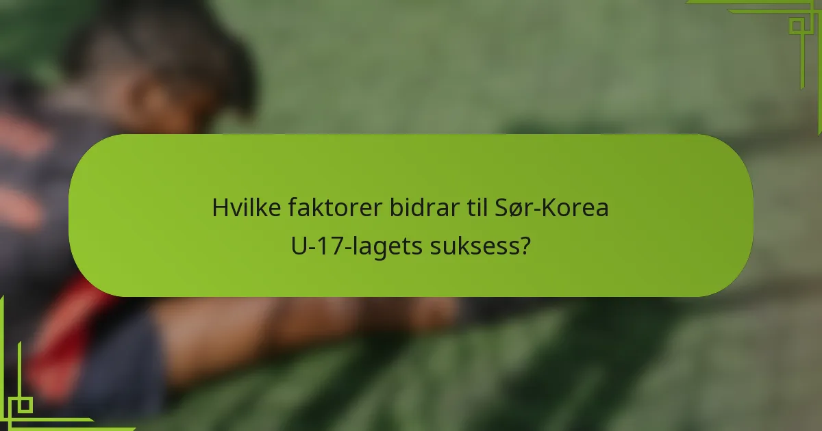 Hvilke faktorer bidrar til Sør-Korea U-17-lagets suksess?
