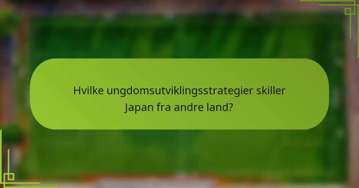 Hvilke ungdomsutviklingsstrategier skiller Japan fra andre land?
